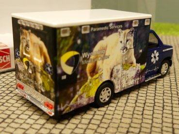 1/87 Busch Ford E-350 Ambulance Mountain Lion 41849 SONDERPREIS!