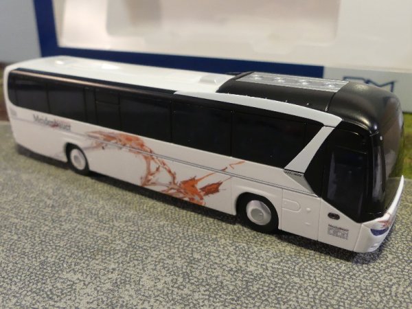 1/87 Rietze Neoplan Jetliner Meidenbauer Königstein 69617