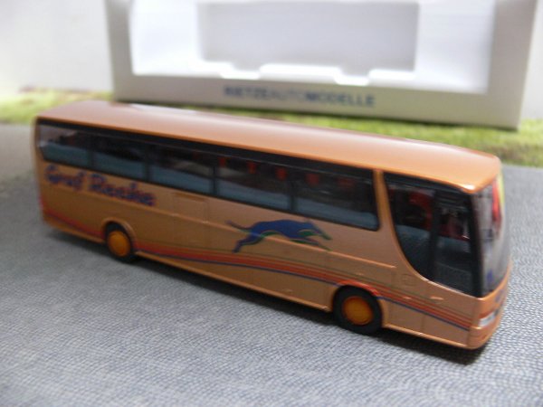 1/87 Rietze Setra S 315 HDH Graf Recke Rendsburg 64002