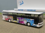 1/87 Rietze Setra S 315 UL Reichwein-Schule Nürnberg